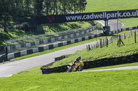 brands-hatch-photographs;brands-no-limits-trackday;cadwell-trackday-photographs;enduro-digital-images;event-digital-images;eventdigitalimages;no-limits-trackdays;peter-wileman-photography;racing-digital-images;trackday-digital-images;trackday-photos